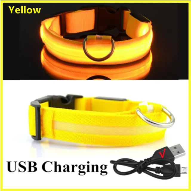 Safety Collar Led Light