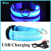 Safety Collar Led Light