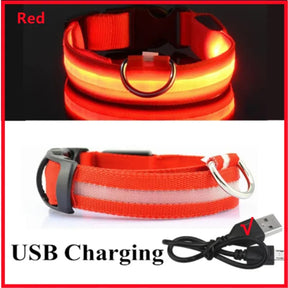 Safety Collar Led Light