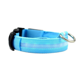 Safety Collar Led Light